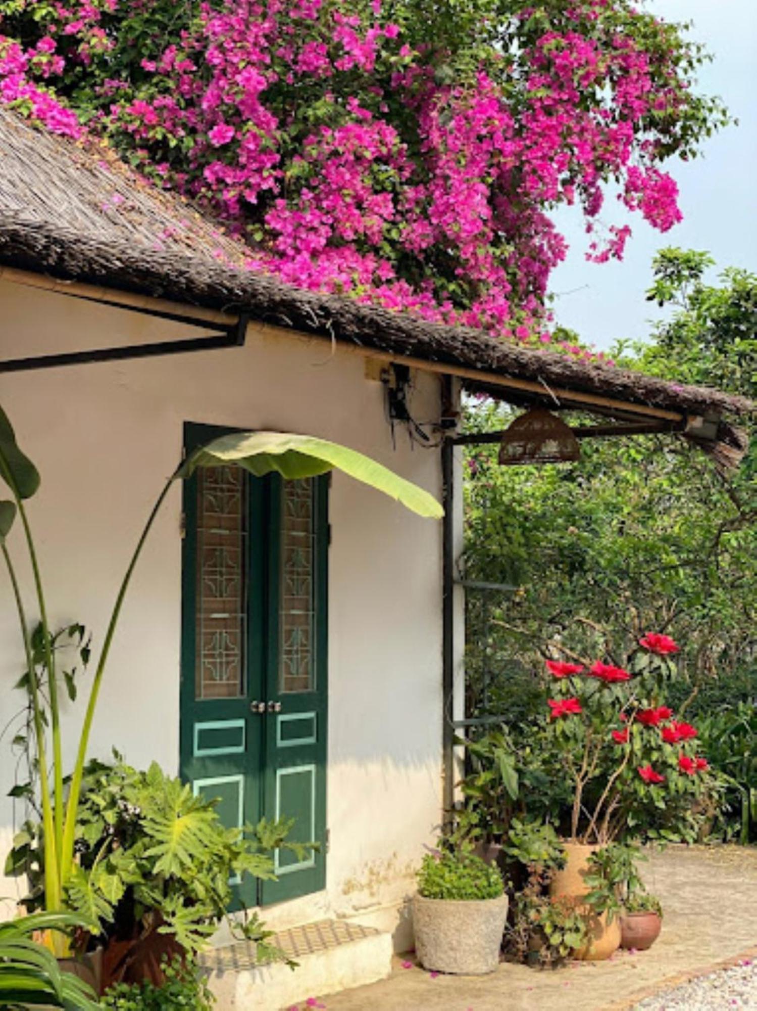 Hòa BìnhGiang House公寓 外观 照片